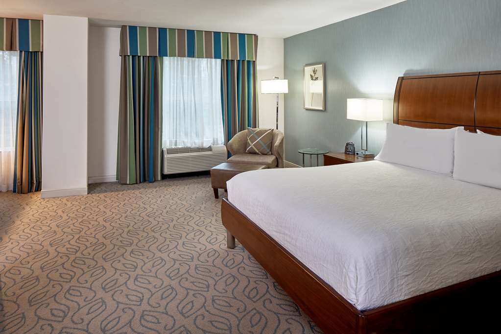 Hilton Garden Inn Atlanta Midtown Oda fotoğraf