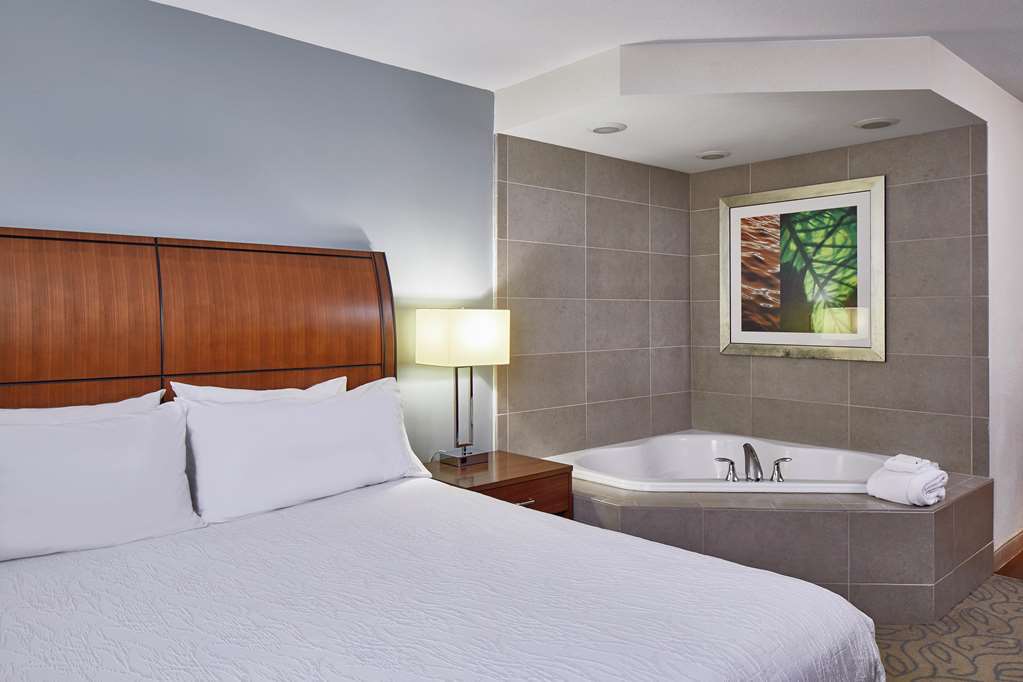 Hilton Garden Inn Atlanta Midtown Oda fotoğraf